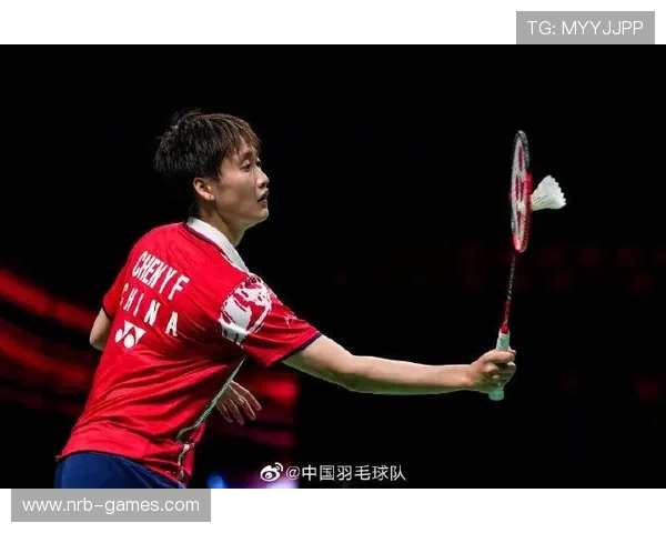 山东泰山退赛警示：球迷无心之举，为何让整个中国足球买单？